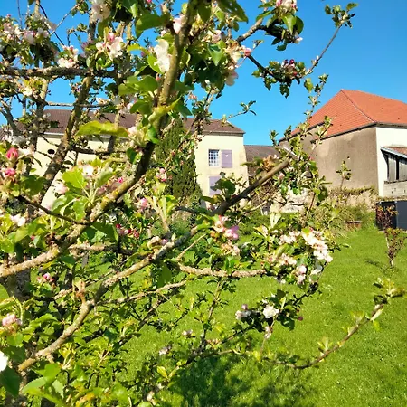 Frühstückspension La Maison Du Notaire - D'hotes - Honden Welkom