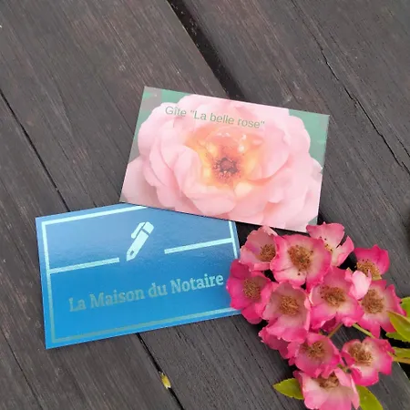 La Maison Du Notaire - D'hotes - Huisdieren Welkom 4* Melay (Haute-Marne)