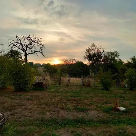 B&B La Maison Du Notaire - D'hotes - Huisdieren Welkom 4*