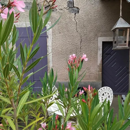 La Maison Du Notaire - D'hotes - Huisdieren Welkom B&B Melay (Haute-Marne)