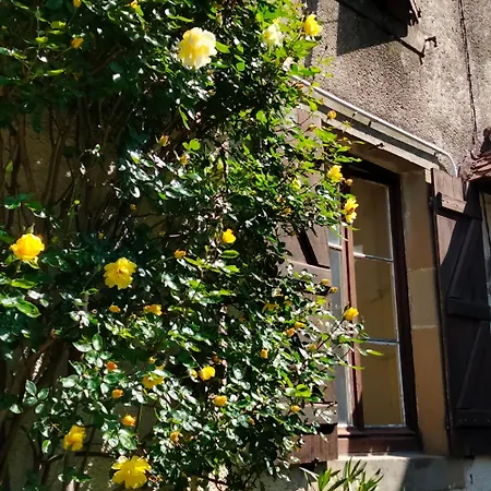 La Maison Du Notaire - D'hotes - Honden Welkom Melay (Haute-Marne)