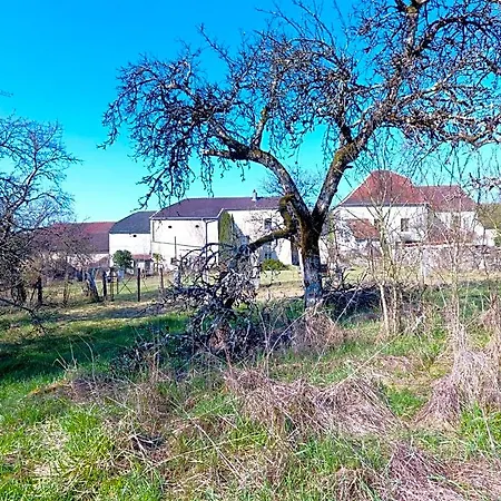 La Maison Du Notaire - D'hotes - Huisdieren Welkom 4*