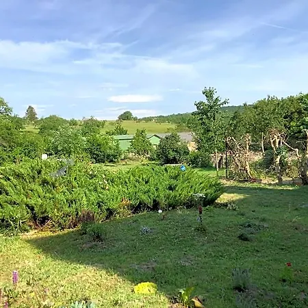 La Maison Du Notaire - D'hotes - Huisdieren Welkom 4* Melay (Haute-Marne)