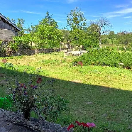 La Maison Du Notaire - D'hotes - Huisdieren Welkom