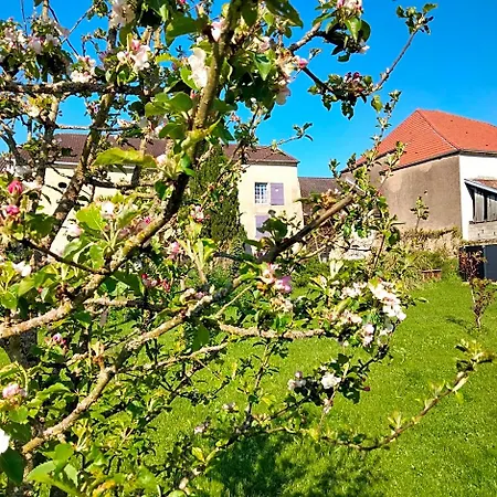Bed & Breakfast La Maison Du Notaire - D'hotes - Huisdieren Welkom