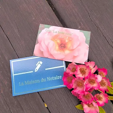 La Maison Du Notaire - D'hotes - Huisdieren Welkom Bed & Breakfast Melay (Haute-Marne)