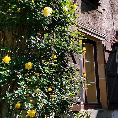 Bed & Breakfast La Maison Du Notaire - D'hotes - Huisdieren Welkom